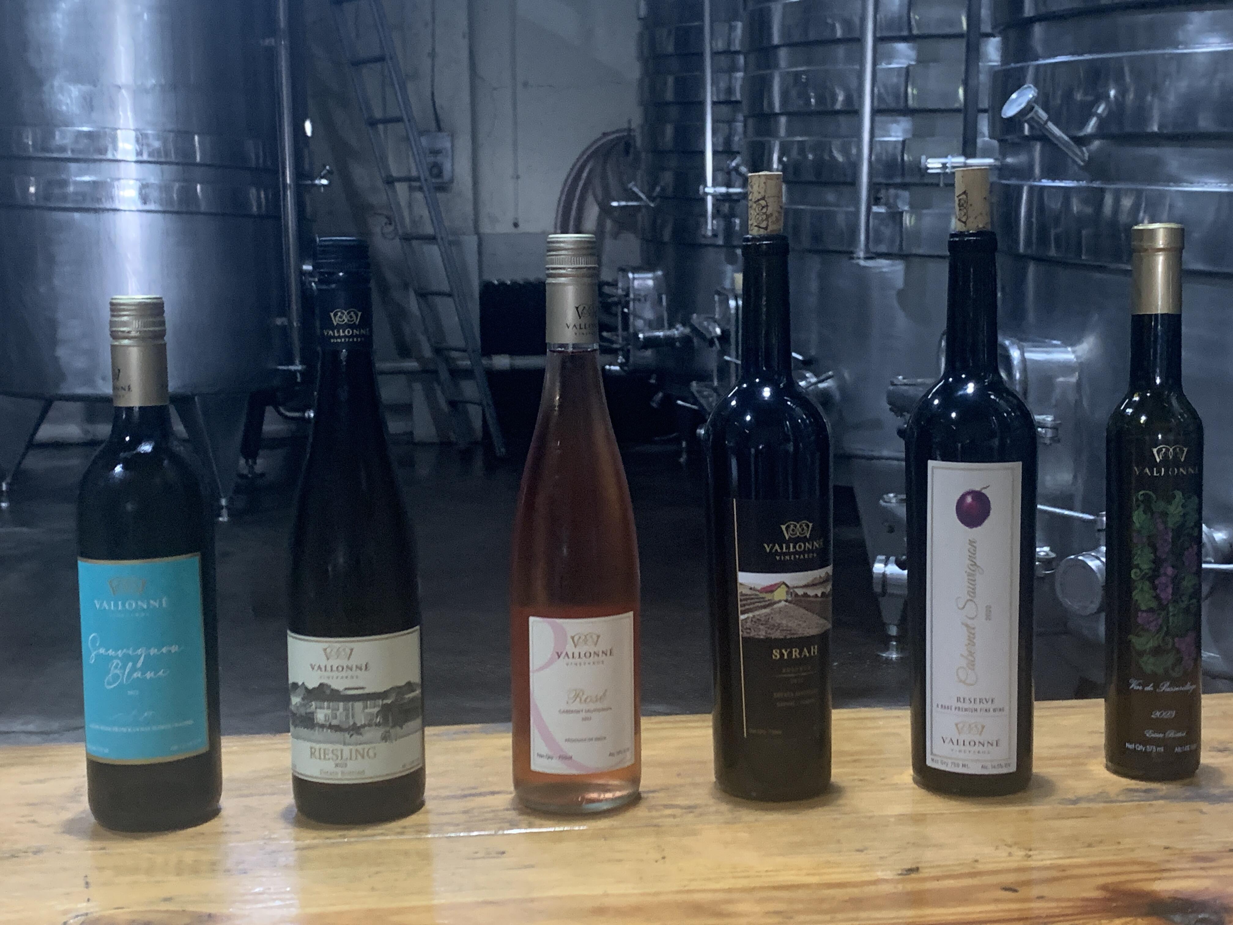 インドワインを飲みたい！おすすめワイナリー3選 たびこふれ